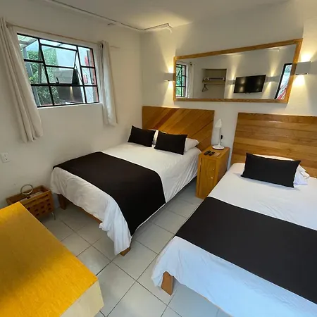 Hostal Roma Condesa-2